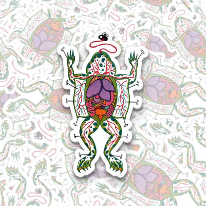 Dissecting Frog 1PCS Stickers