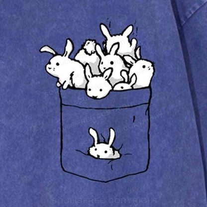 Pocket Rabbit