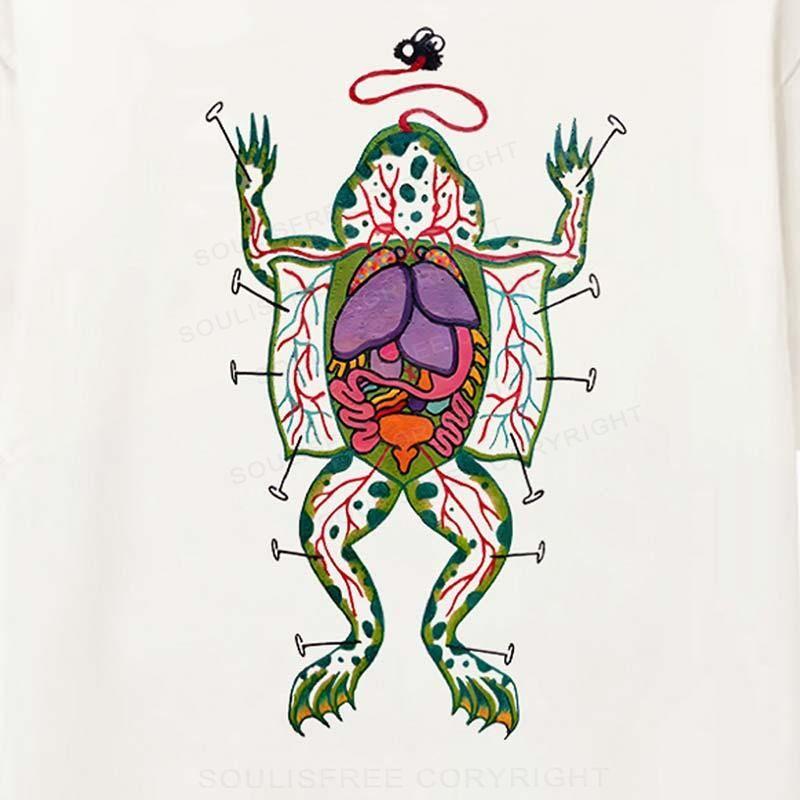 The Dissected Frog